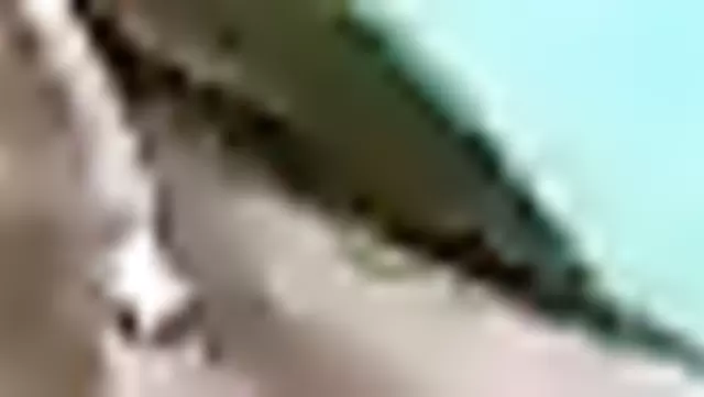 Özbek güzeli kocasına ağızla zevk veriyor.
